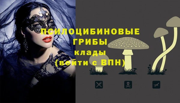 сатива Гусиноозёрск