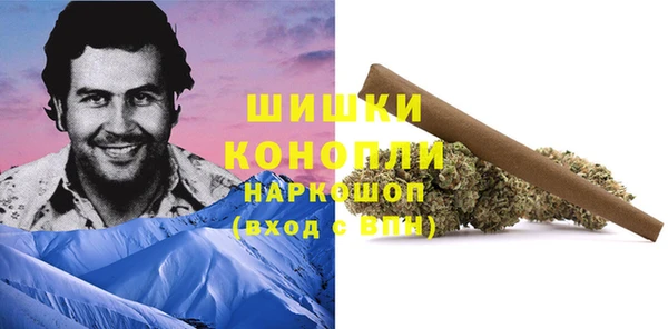 прущие грибы Гусь-Хрустальный