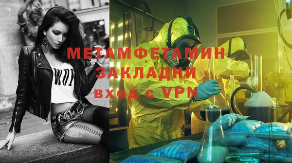 прущие грибы Гусь-Хрустальный