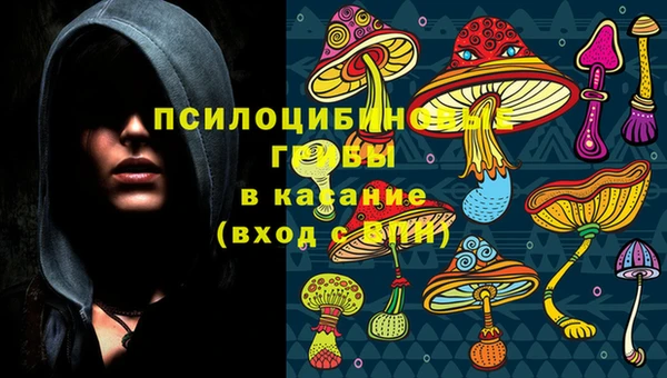 метадон Гусев
