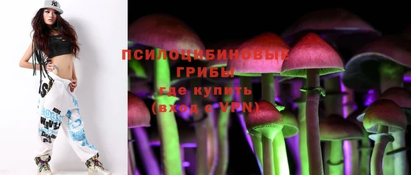 метадон Гусев