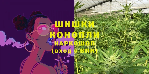 сатива Гусиноозёрск