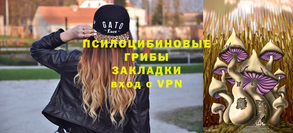 spice Дмитровск