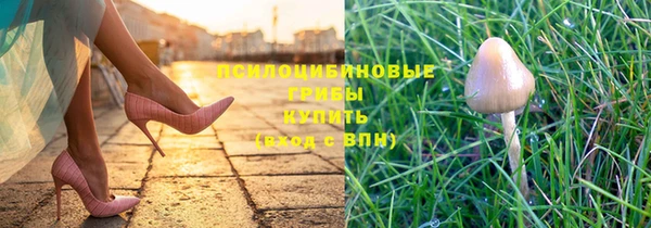 мет Вяземский