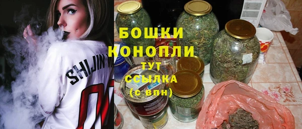 сатива Гусиноозёрск