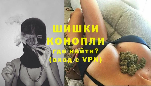 прущие грибы Гусь-Хрустальный