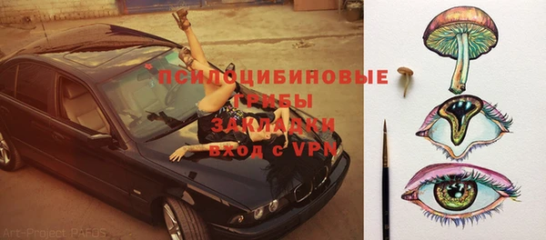 прущие грибы Гусь-Хрустальный