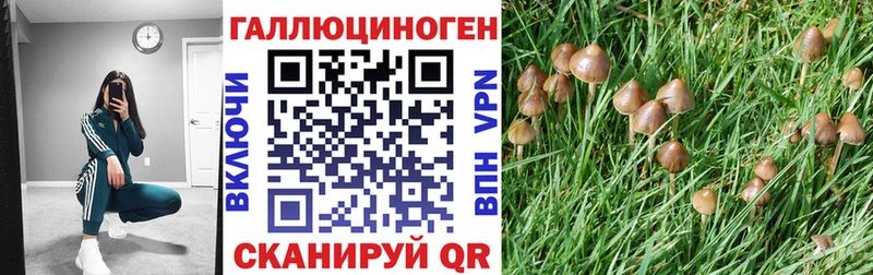 Галлюциногенные грибы GOLDEN TEACHER  Давлеканово 